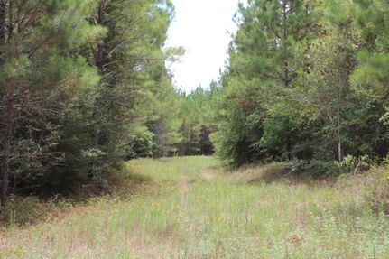 Property for sale in Polk County, Texas