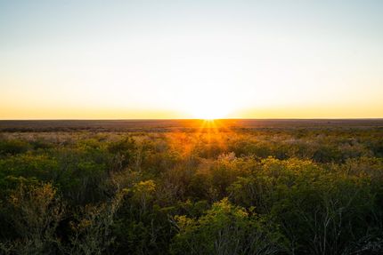 Property in Duval County, Texas