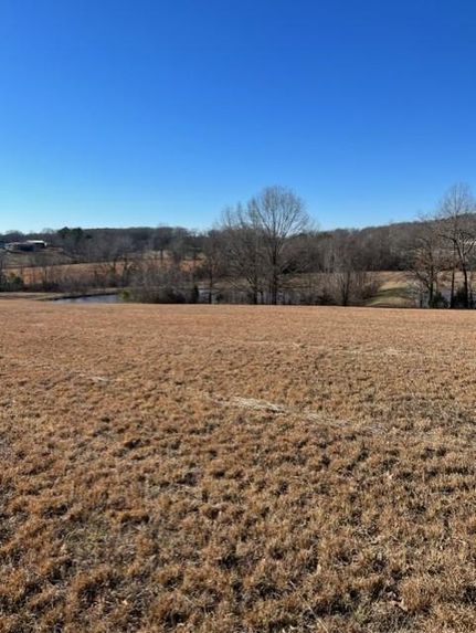 Farm Property in Henry County, Tennessee