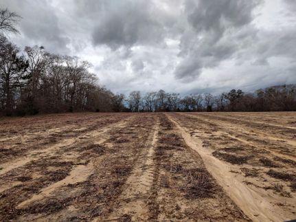 Residential Property in Houston County, Alabama