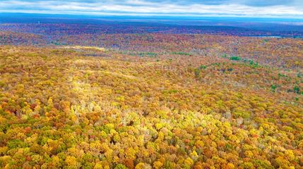 Farm Property in Pike County, Pennsylvania