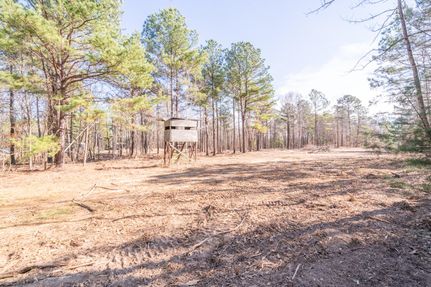 Recreational Property in Upshur County, Texas