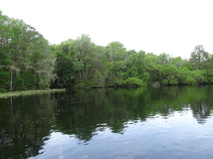 Property in Citrus County, Florida