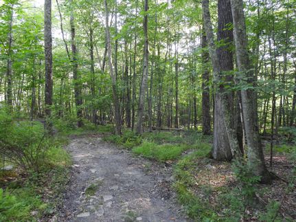 Farm Property in Monroe County, Pennsylvania