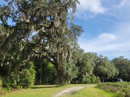 Hunting Land in Citrus County, Florida
