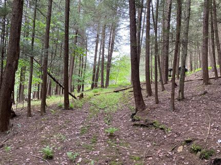 Hunting Land in Steuben County, New York
