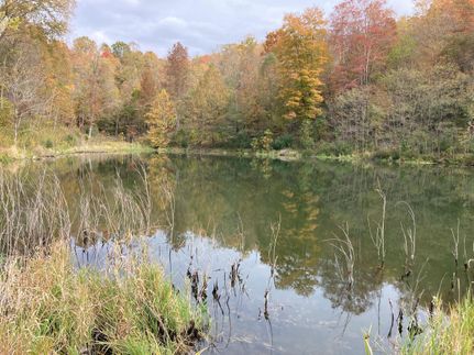Timberland Property in Noble County, Ohio