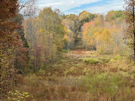 Ranch Property in McNairy County, Tennessee