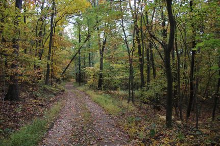 Ranch Property in Frederick County, Virginia