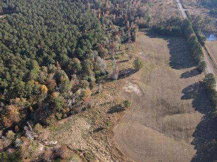 Hunting Land in Union Parish, Louisiana