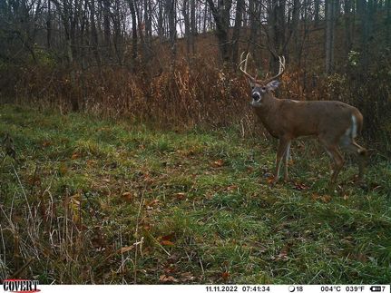 Hunting Land in Clark County, Illinois