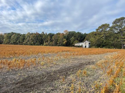 Timberland Property in Johnston County, North Carolina