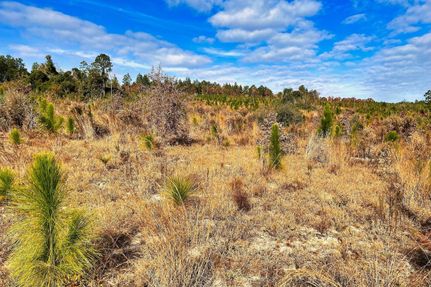 Ranch Property in Chesterfield County, South Carolina