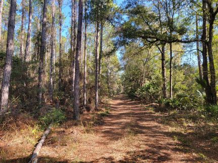 Property in Levy County, Florida