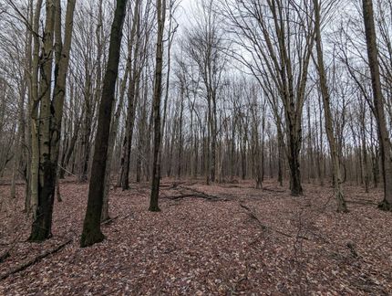 Farm Property in Ashtabula County, Ohio