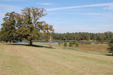 Lakefront Property in Mitchell County, Georgia