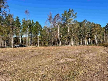 Recreational Property in Georgetown County, South Carolina