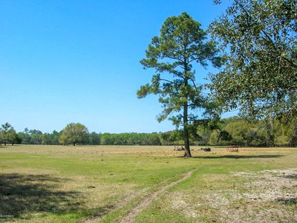 Waterfront Property in Bradford County, Florida