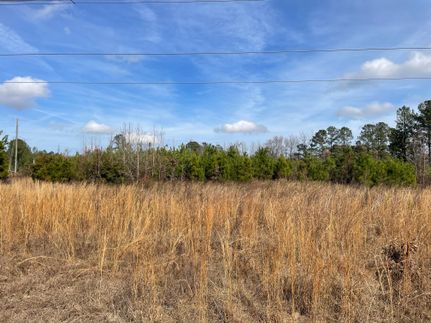 Farm Property in Clarendon County, South Carolina
