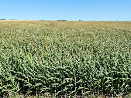 Ranch Property in Norman County, Minnesota