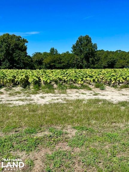 Hunting Land in Johnston County, North Carolina