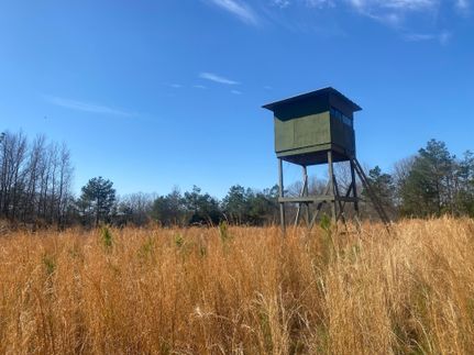 Timberland Property in Benton County, Mississippi