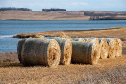 Undeveloped Land in Day County, South Dakota