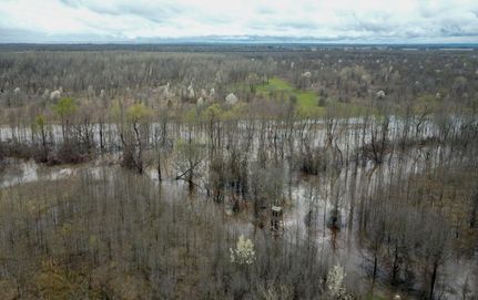Hunting Land in Miller County, Arkansas