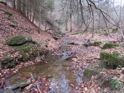 Property in Kanawha County, West Virginia