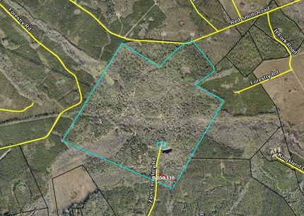 Farm Property in Camden County, Georgia