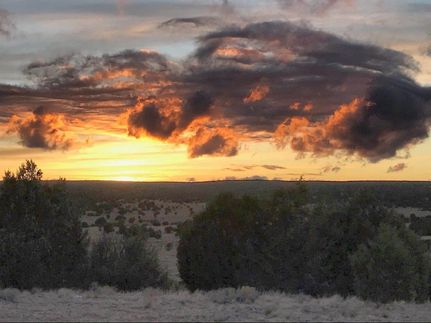 Hunting Land in Apache County, Arizona