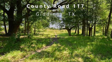 Residential Property in Lee County, Texas