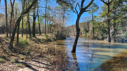 Riverfront Property in Lee County, Georgia