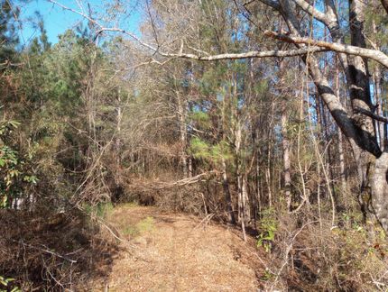Hunting Land in Troup County, Georgia