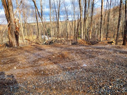Timberland Property in Chenango County, New York