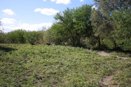 Recreational Property in San Patricio County, Texas