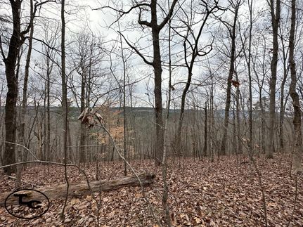 Undeveloped Land in Saint Clair County, Alabama