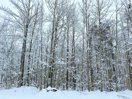 Farm Property in Otsego County, Michigan