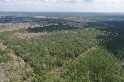 Property in Newton County, Texas