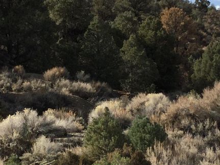 Recreational Property in Esmeralda County, Nevada