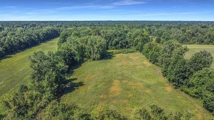 Timberland Property in Wayne County, Michigan