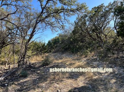 Timberland Property for sale in Edwards County, Texas