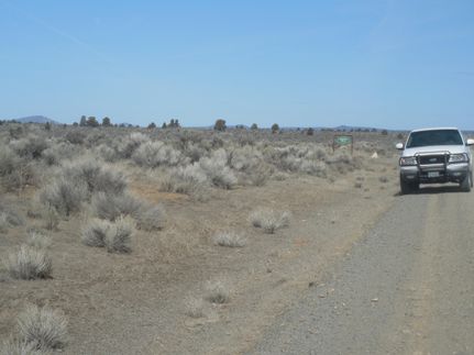 Undeveloped Land for sale in Lake County, Oregon