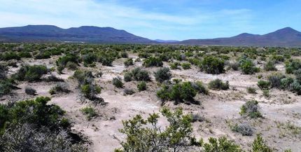 Timberland Property in Elko County, Nevada