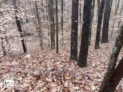 Ranch Property in Spartanburg County, South Carolina