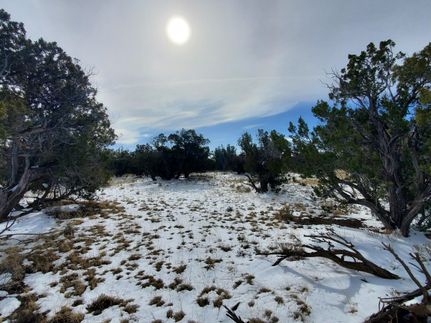 Ranch Property in Apache County, Arizona
