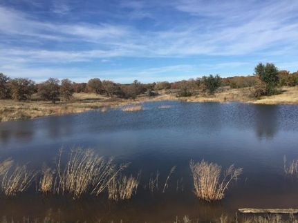 Farm Property in Callahan County, Texas