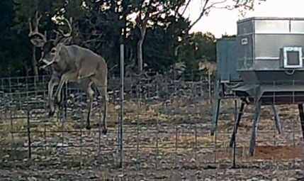 Farm Property in Edwards County, Texas