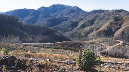 Ranch Property in Lane County, Oregon