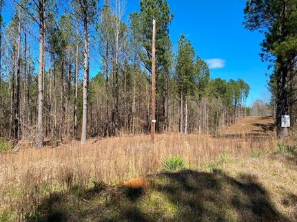 Hunting Land in Tishomingo County, Mississippi